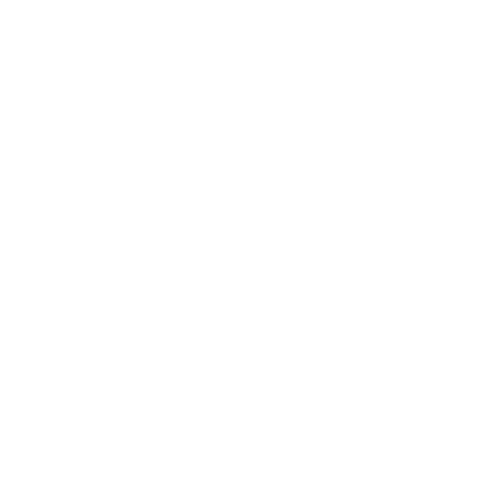 Logo White